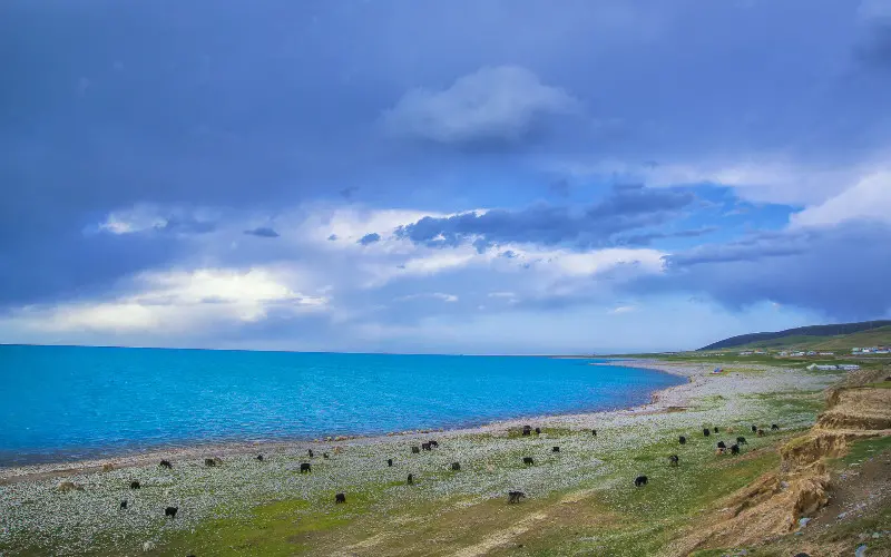 Qinghai Lake