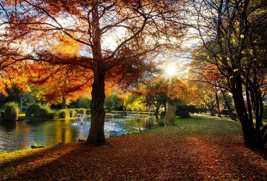 Queenstown Gardens