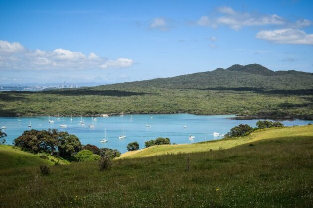 Rangitoto Island