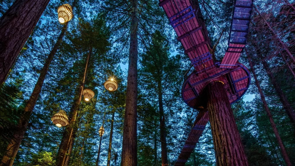 Redwoods Treewalk