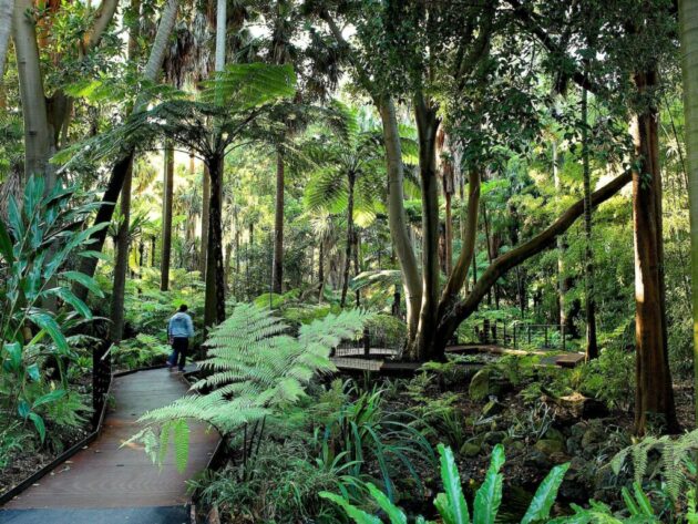 Royal Botanic Gardens