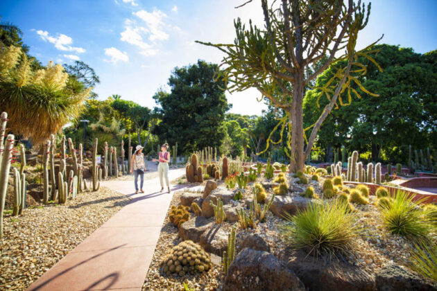 Royal Botanic Gardens