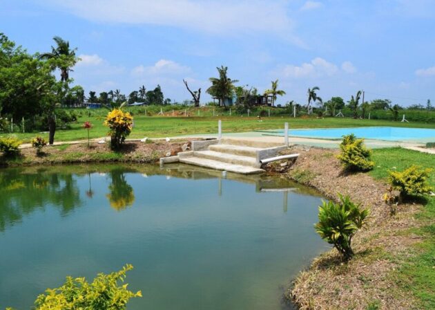 Sabeto Hot Springs and Mud Pool