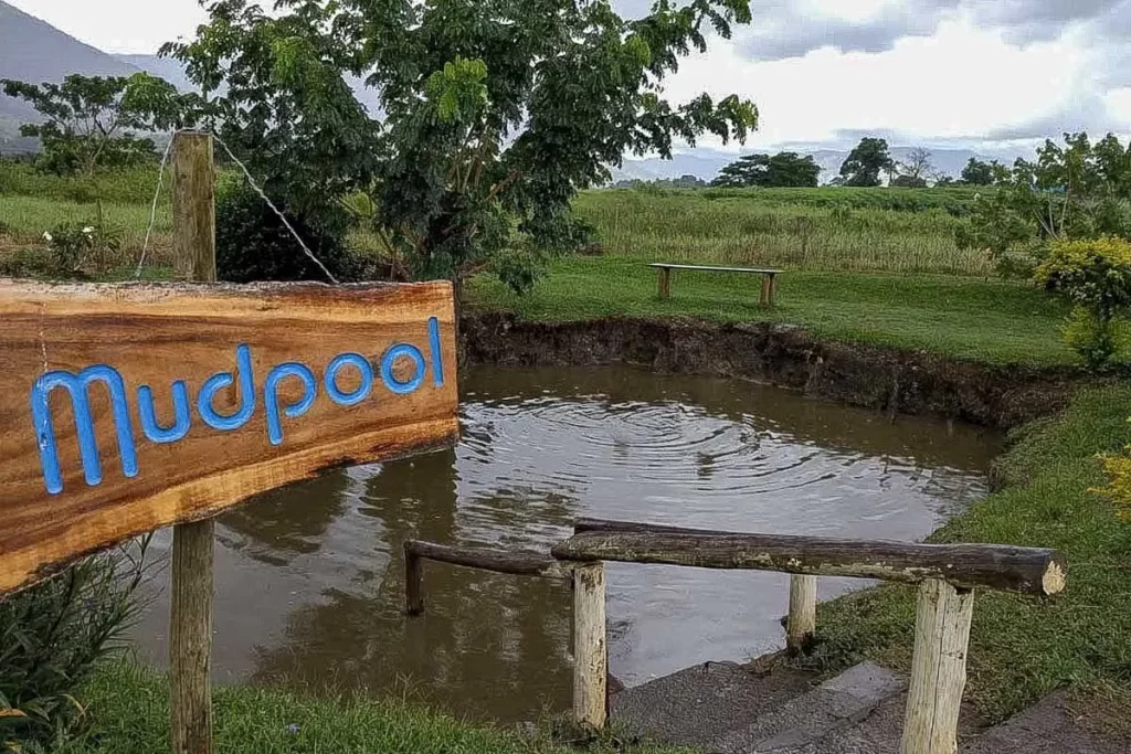 Sabeto Hot Springs and Mud Pool