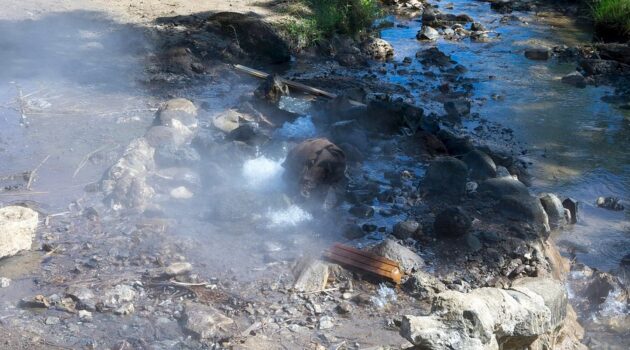 Savusavu Hot Springs