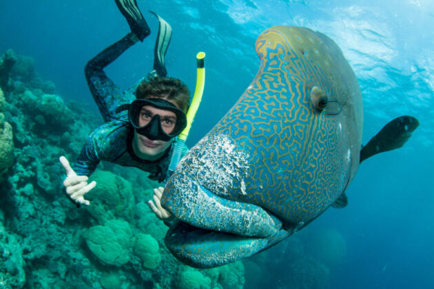 Snorkeling and Diving