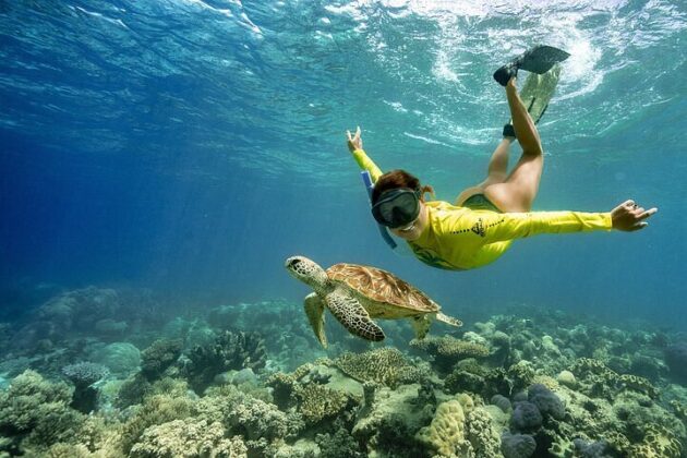 Snorkeling and Diving