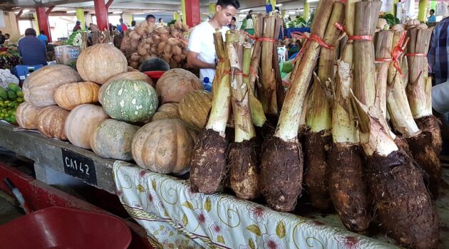 Suva Municipal Market