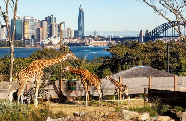 Taronga Zoo Sydney