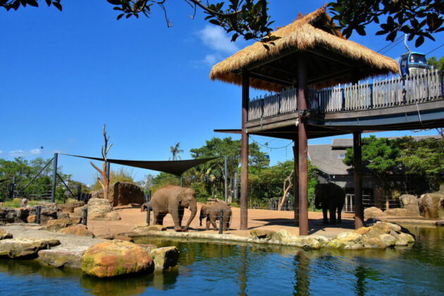 Taronga Zoo Sydney