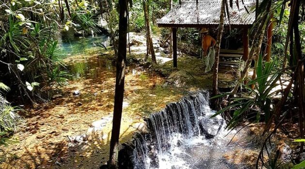 Waisali Rainforest Reserve