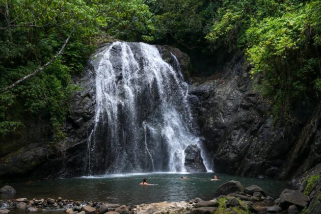 Waisali Rainforest Reserve