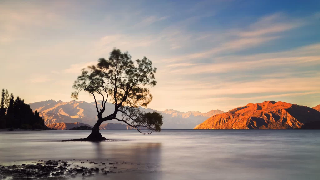 Wanaka