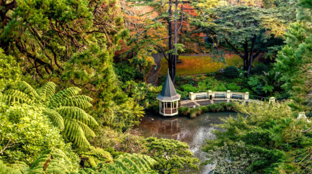 Wellington Botanic Garden