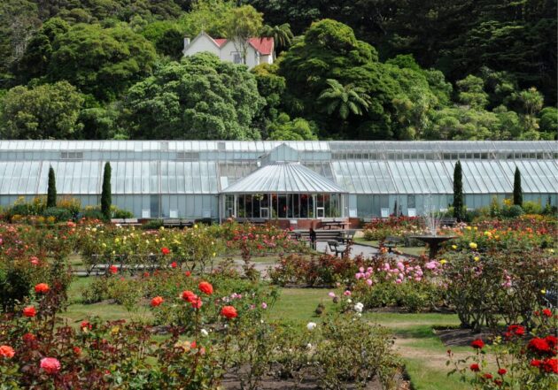 Wellington Botanic Garden