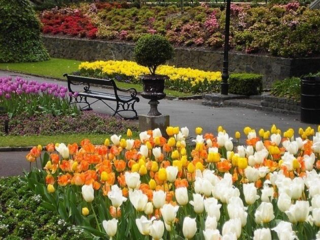 Wellington Botanic Garden