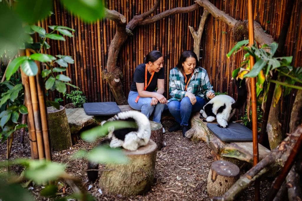 Wellington Zoo