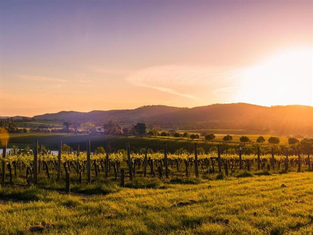 Yarra Valley