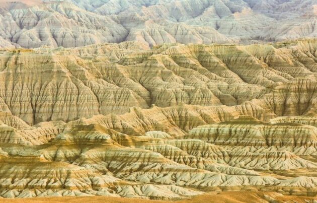 Zanda Earth Forest National Geological Park