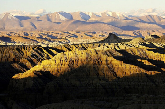 Zanda Earth Forest National Geological Park