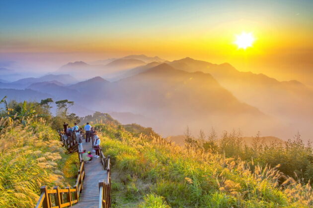 Alishan National Forest Recreation Area (阿里山森林游乐区)