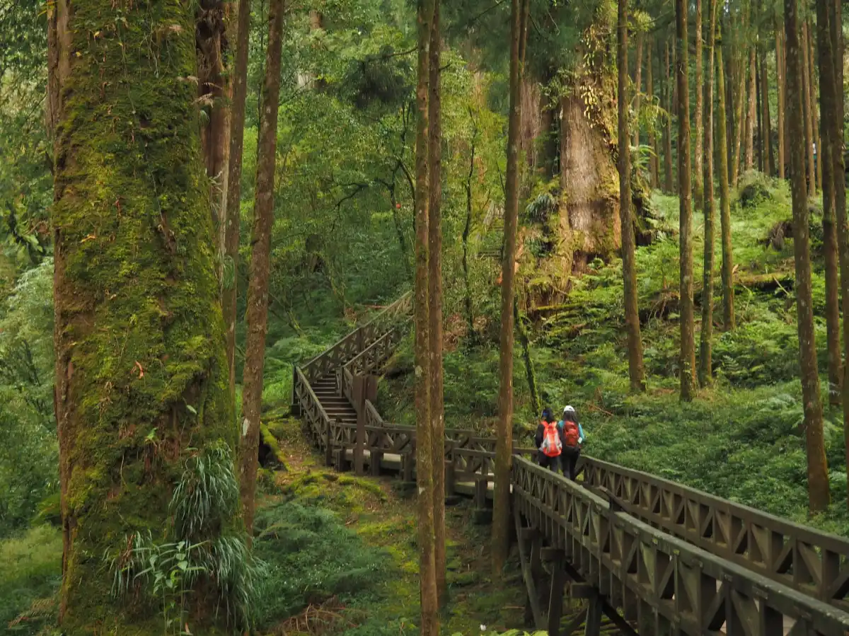 Alishan National Forest Recreation Area