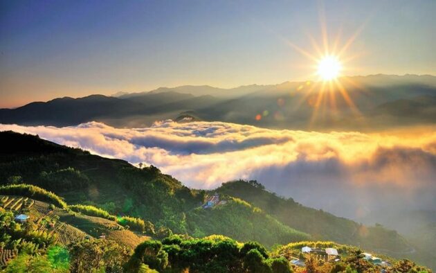 Alishan National Forest Recreation Area
