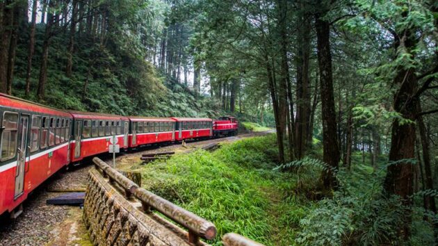 Alishan National Forest Recreation Area