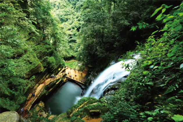 Bifeng Gorge Scenic Area (碧峰峡)