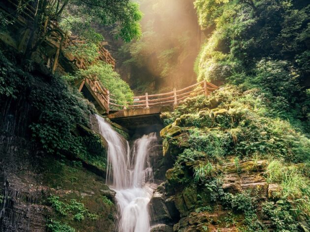 Bifeng Gorge Scenic Area