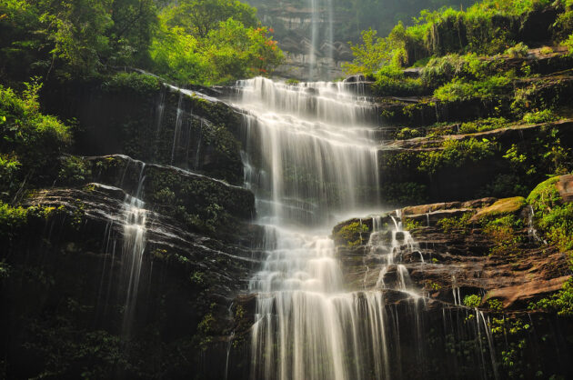 Bifeng Gorge Scenic Area
