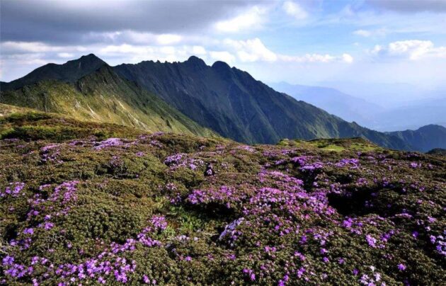 Cangshan Mountain