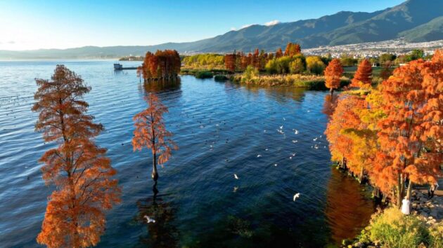 Erhai Lake (洱海)