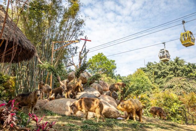Guangzhou Chimelong Safari Park