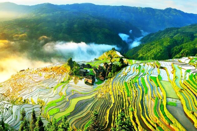 Jiabang Terraces