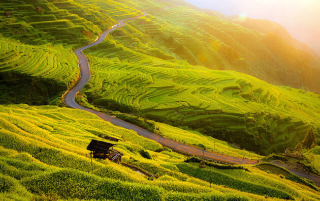 Jiabang Terraces