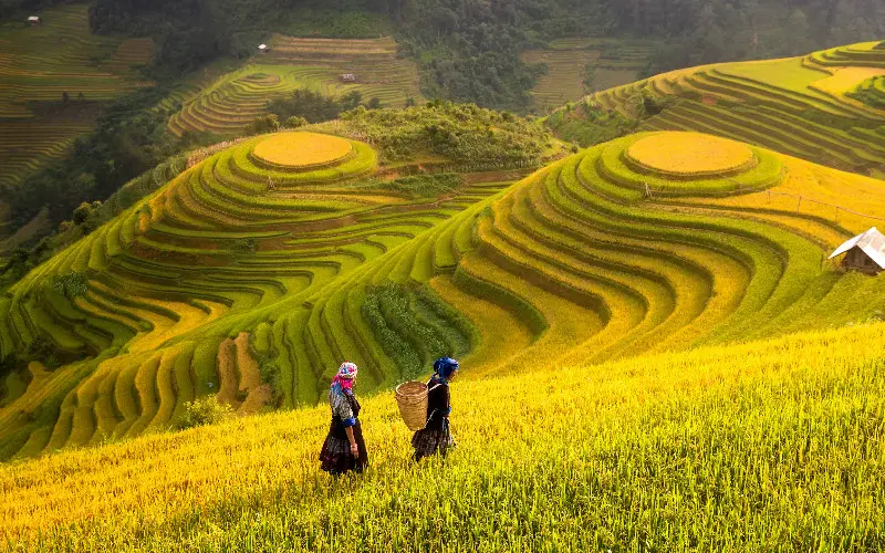 Jiabang Terraces