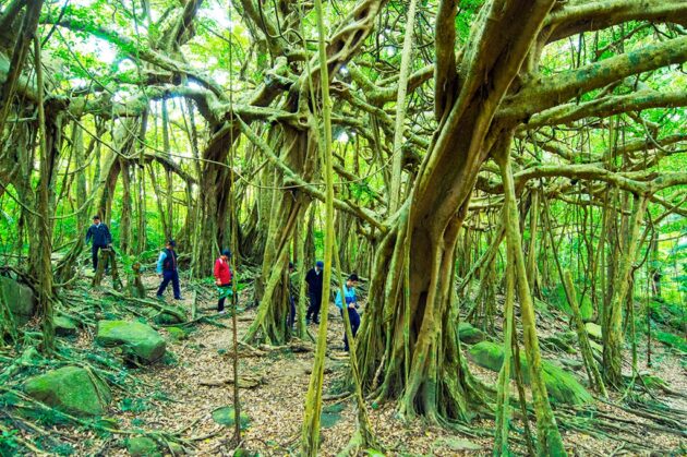 Kenting National Forest Recreation Area
