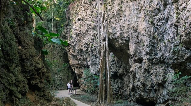 Kenting National Forest Recreation Area
