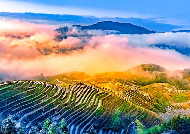 Longji Rice Terrace (龙脊梯田)