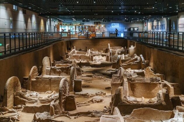 Luoyang Museum