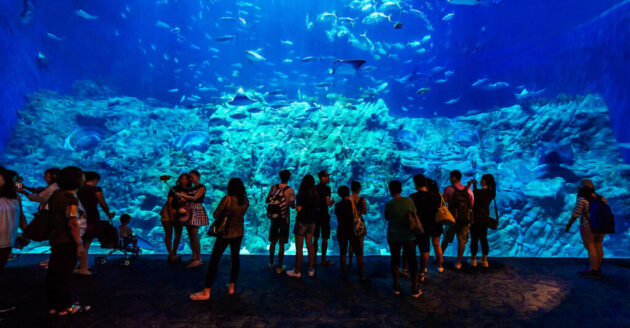 Ocean Park Hong Kong