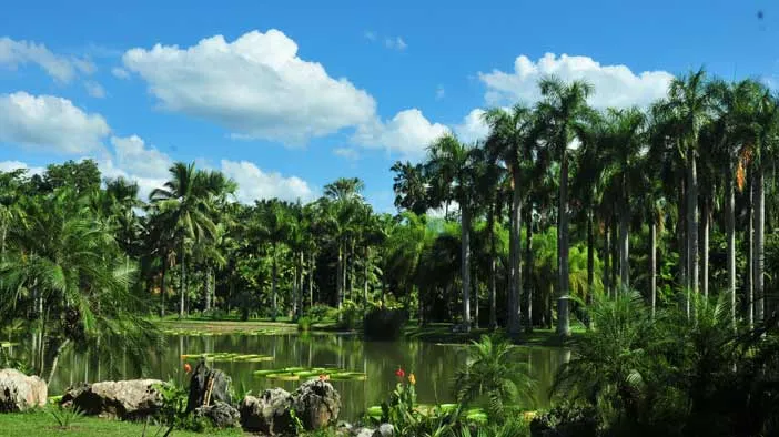 Sipsongpanna Botanical Garden