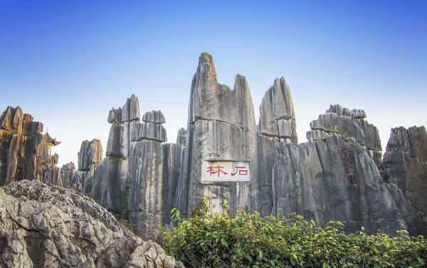 Stone Forest Scenic Area