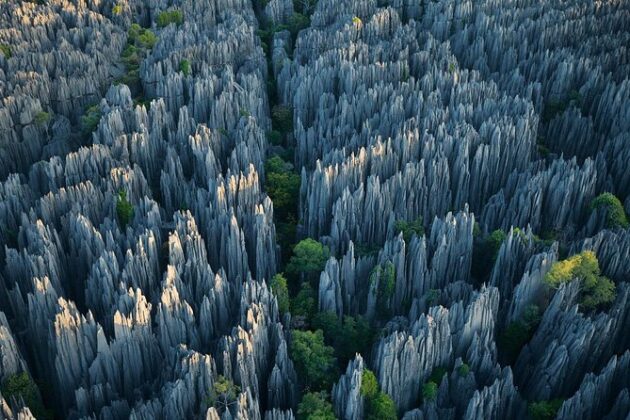Stone Forest Scenic Area (石林)