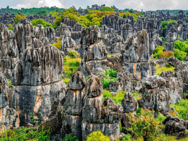 Stone Forest Scenic Area