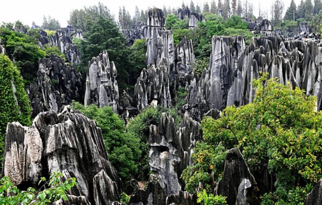 Stone Forest Scenic Area