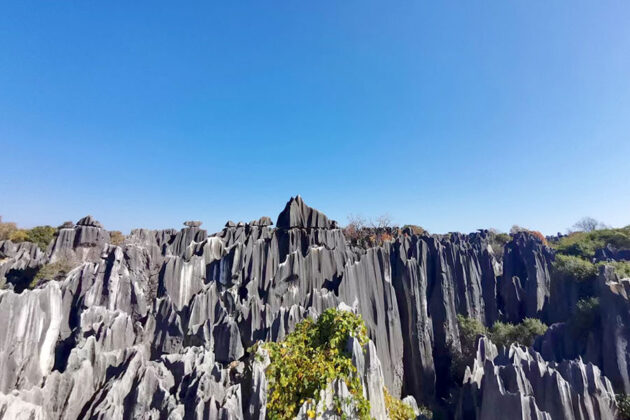 Stone Forest Scenic Area