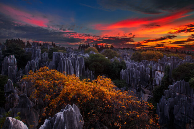 Stone Forest Scenic Area