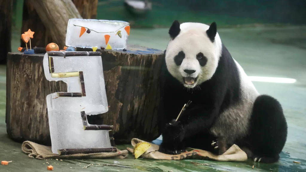 Taipei Zoo